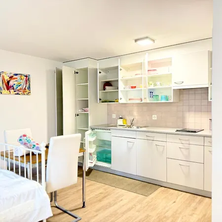 Apartment Haus Caeli - Gemuetlich Im Zuercher Unterland Wil