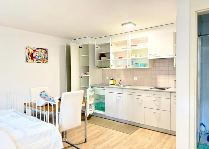 Apartment Haus Caeli - Gemuetlich Im Zuercher Unterland Wil (Zurich)