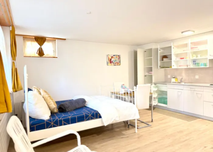 Apartment Haus Caeli - Gemuetlich Im Zuercher Unterland *